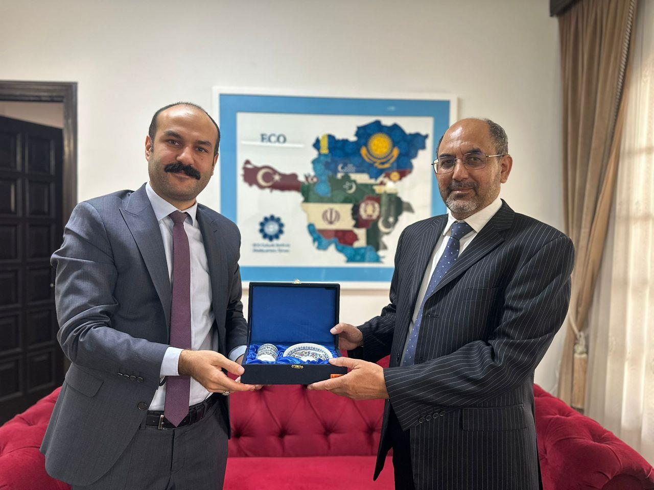 ECI President Confers with Yunus Emre Institute Head in Tehran